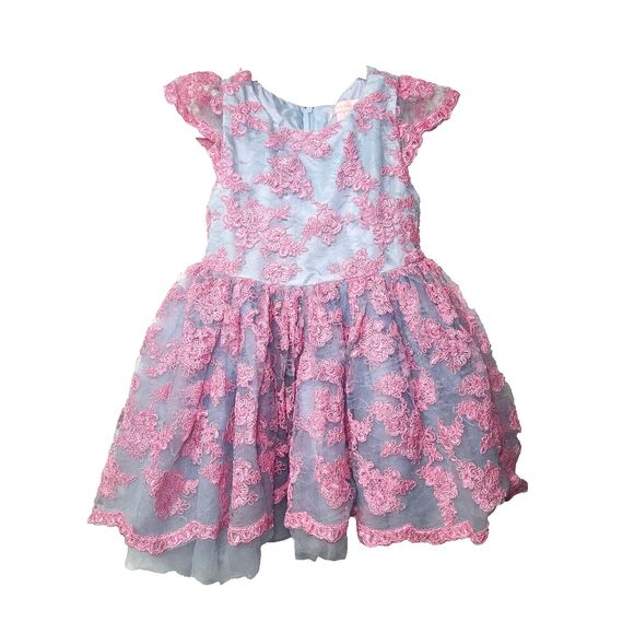 Embroidered Lace High/Low Romantic Tutu Couture Dress 3T Pink and Blue TC1960 - Picture 3 of 13
